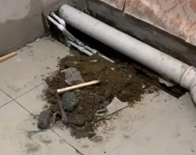 长汀卫生间漏水检测哪家好